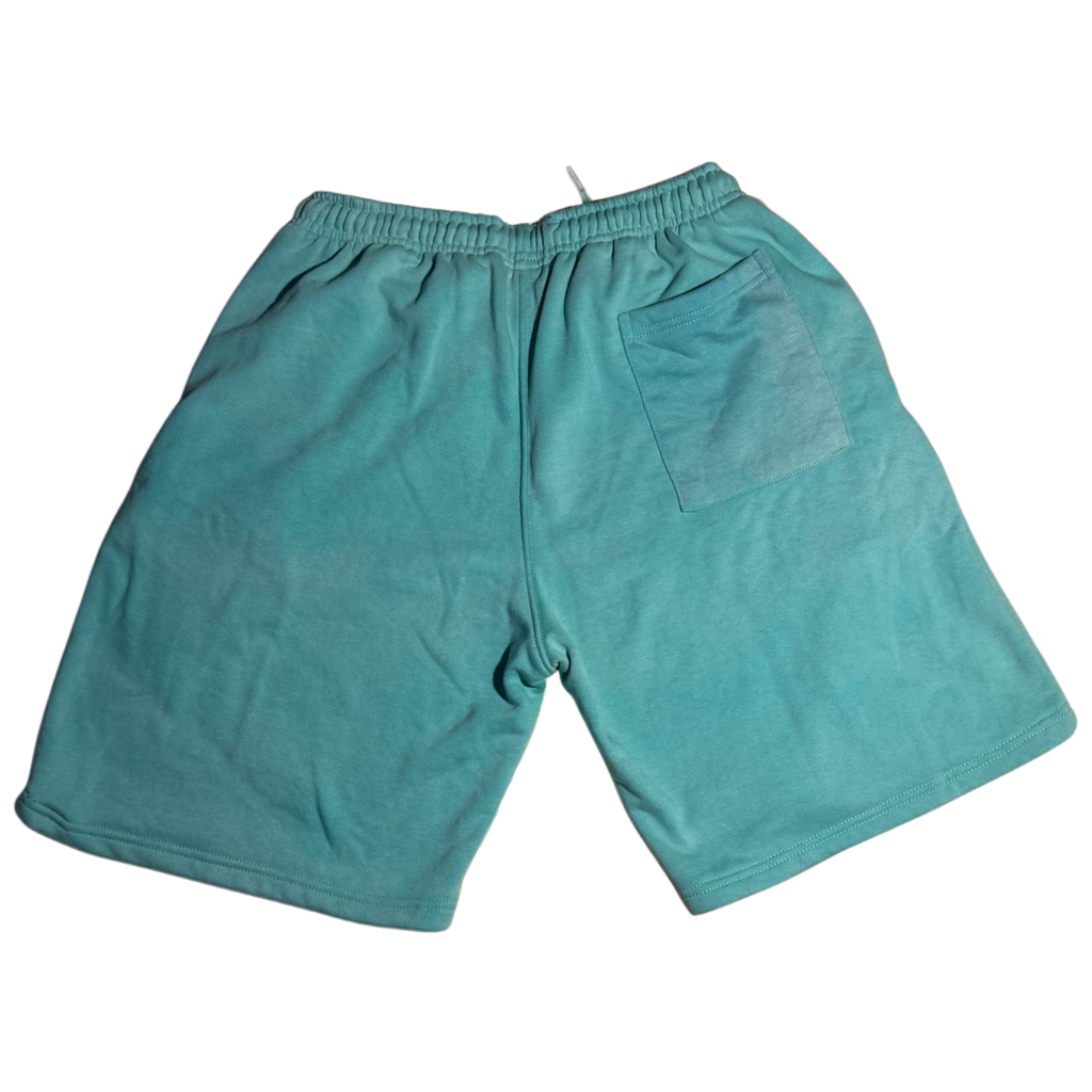 REPPN - Signature Series Fleece Sweat Shorts - Aqua