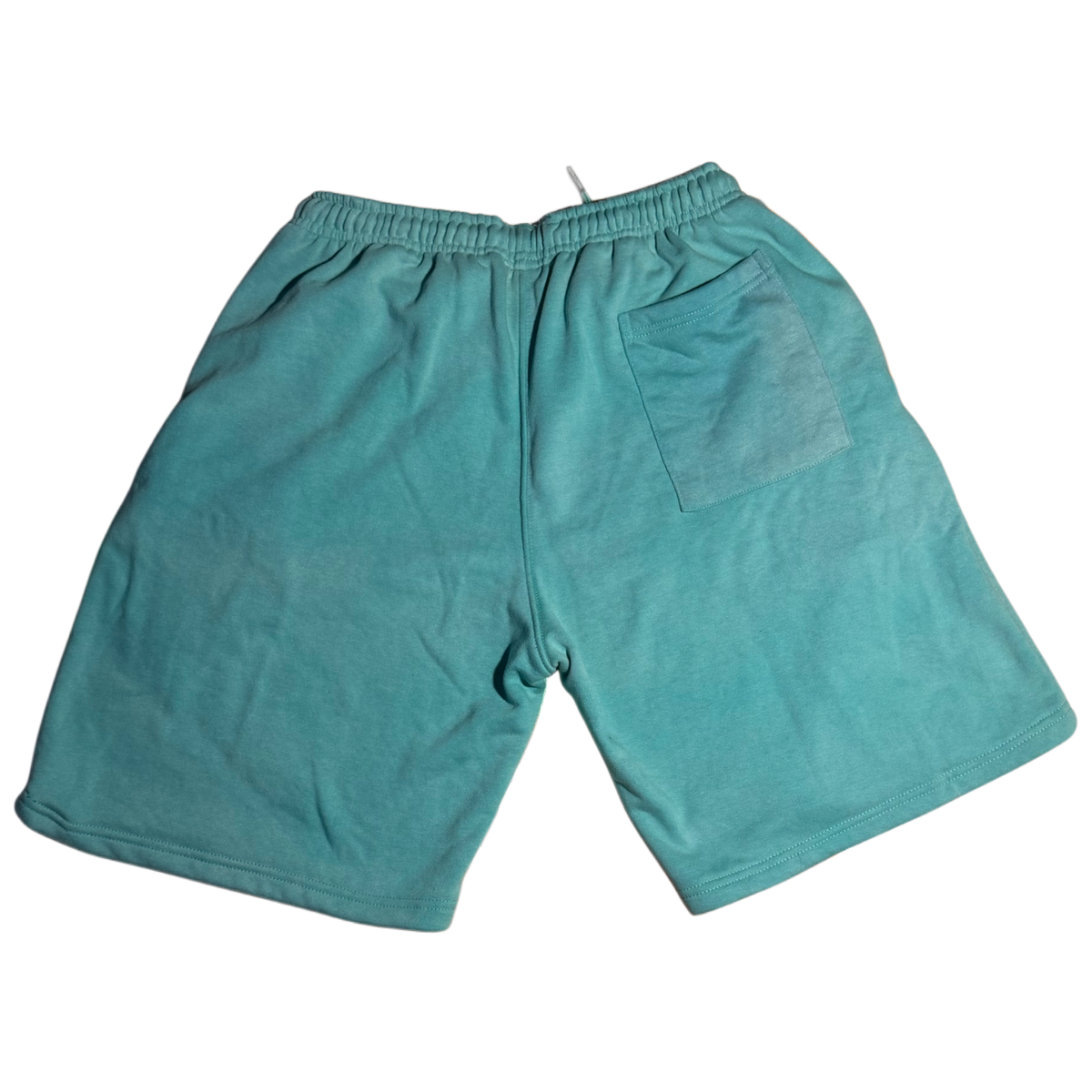 REPPN - Signature Series Fleece Sweat Shorts - Aqua